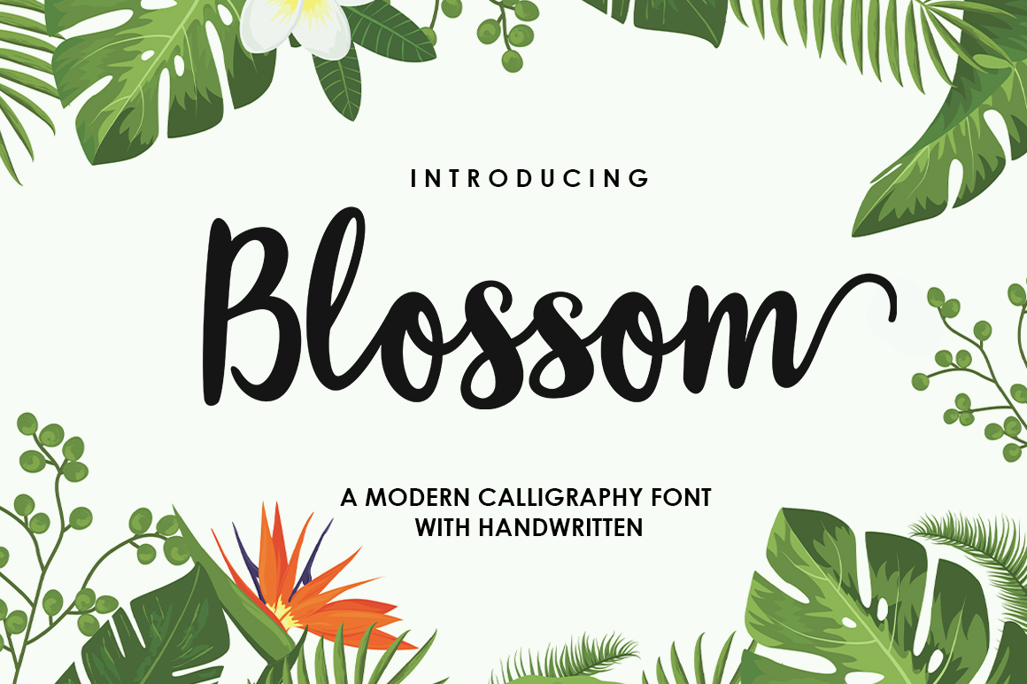 Blossom Script Font: Elevate Your Brand with Elegant Swashes