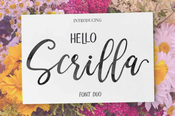 Exploring Hello Scrilla Script: A Modern Duo Font